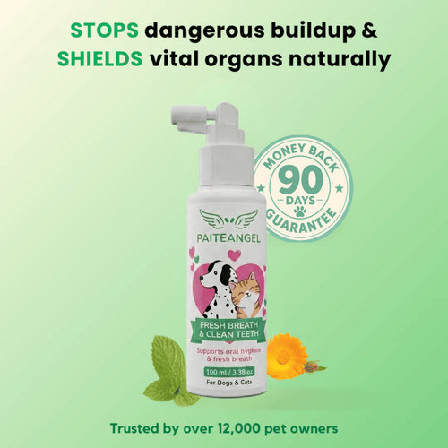 PAITEANGEL™ Dental Spray