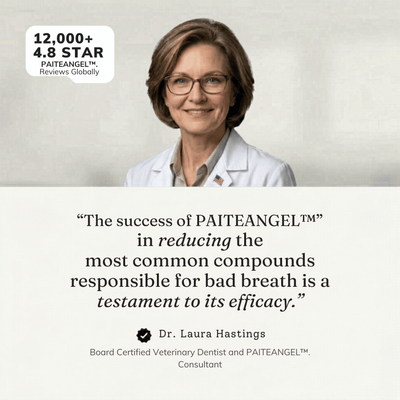 PAITEANGEL™ Dental Spray