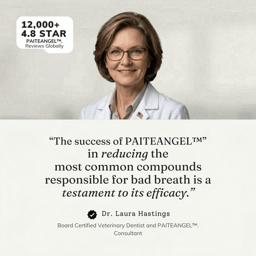 PAITEANGEL™ Dental Spray