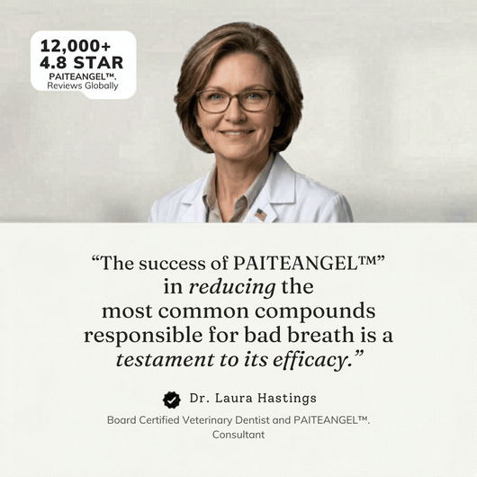 PAITEANGEL™ Dental Spray